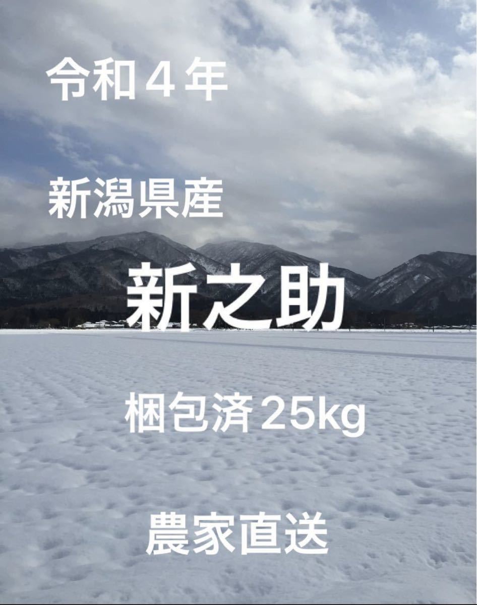 品質保証 新米 令和4年産 新潟県 新之助 梱包済25kg 農家直送(その他)｜売買されたオークション情報、yahooの商品情報をアーカイブ公開 - オークファン その他