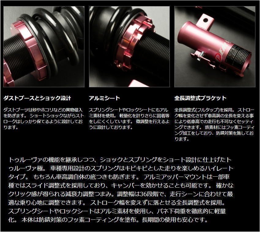 トゥルーヴァ極(Trueva極) イデアル(IDEAL) 車高調 タント LA600S DA-P