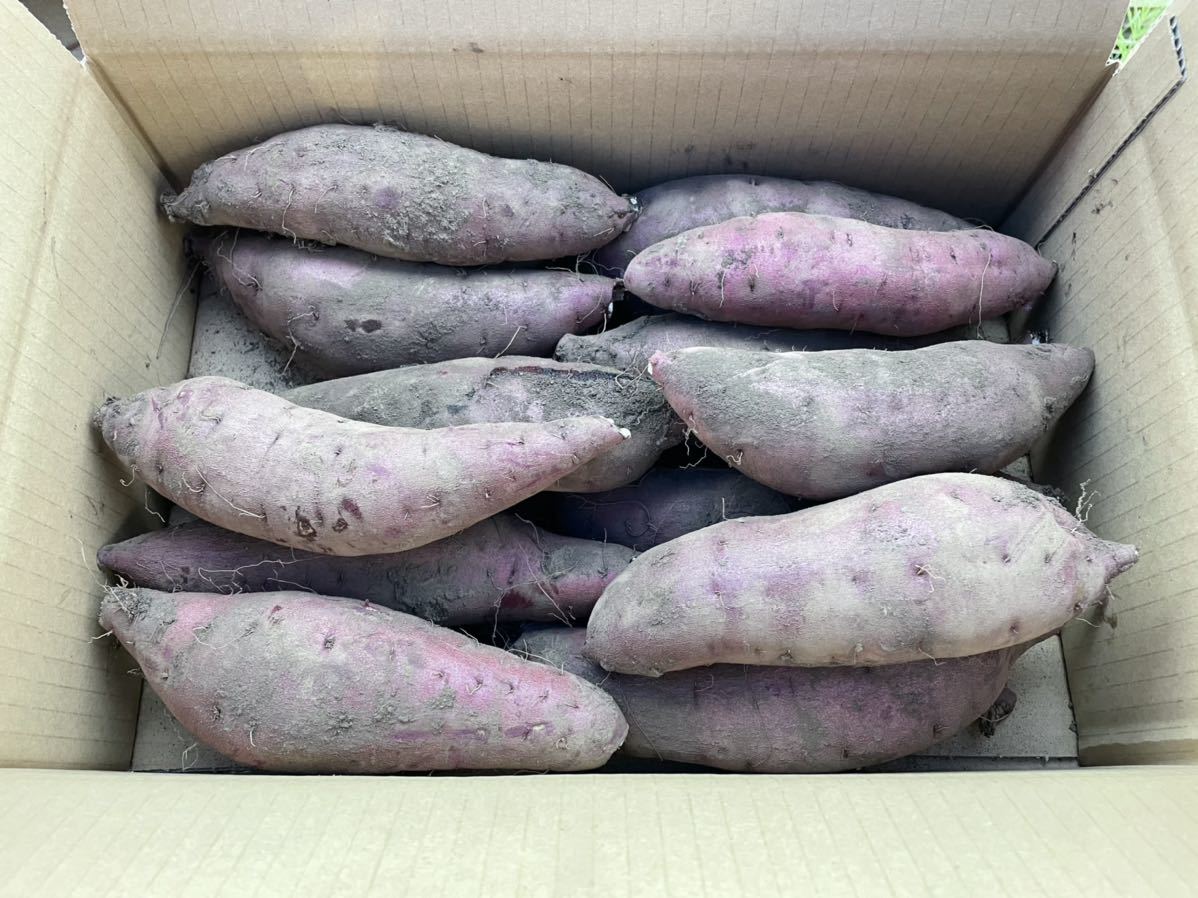 10kg 紅はるか さつまいも Mサイズ ⭐︎10kg⭐︎熟成！蜜たっぷり紅