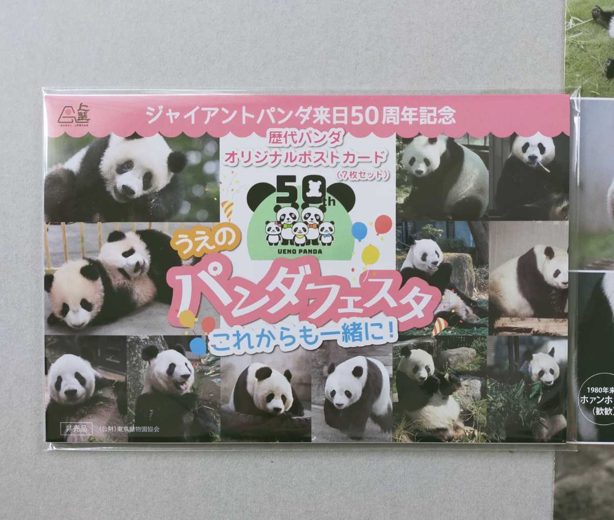 うえのパンダフェスタ パンダ来日50周年記念 上野動物園 シャンシャン カンカン ランラン シャオシャオ レイレイ パンダ来園_1