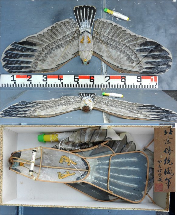 定番人気，本物保証 凧揚げ 凧 カイト 立体型 北京傳統凧筆 112㎝ 凧糸付 大鷹 鳥形凧 インテリア(雑貨)｜売買されたオークション情報、yahooの商品情報をアーカイブ公開 - オークファン その他