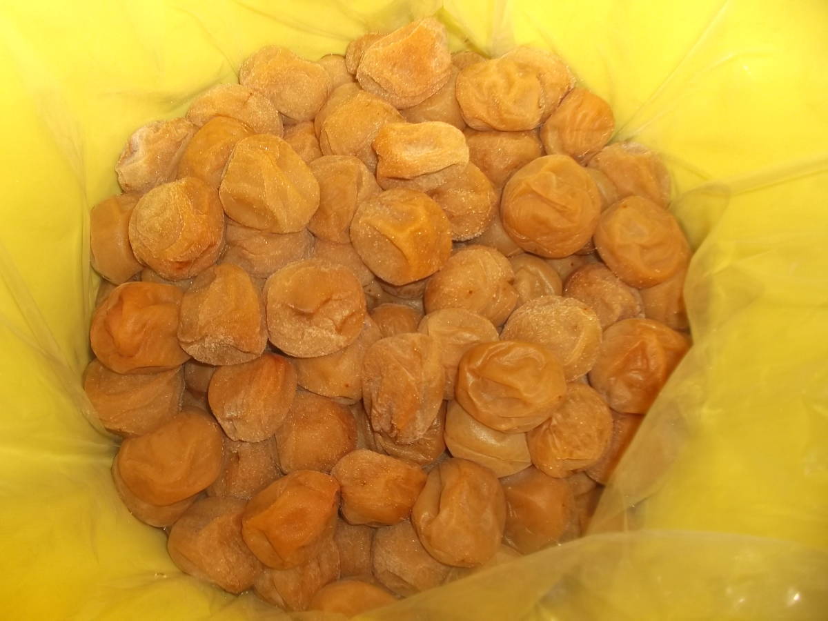 新物 無添加 紀州南高梅白干し みなべ産 3L切れ 約10