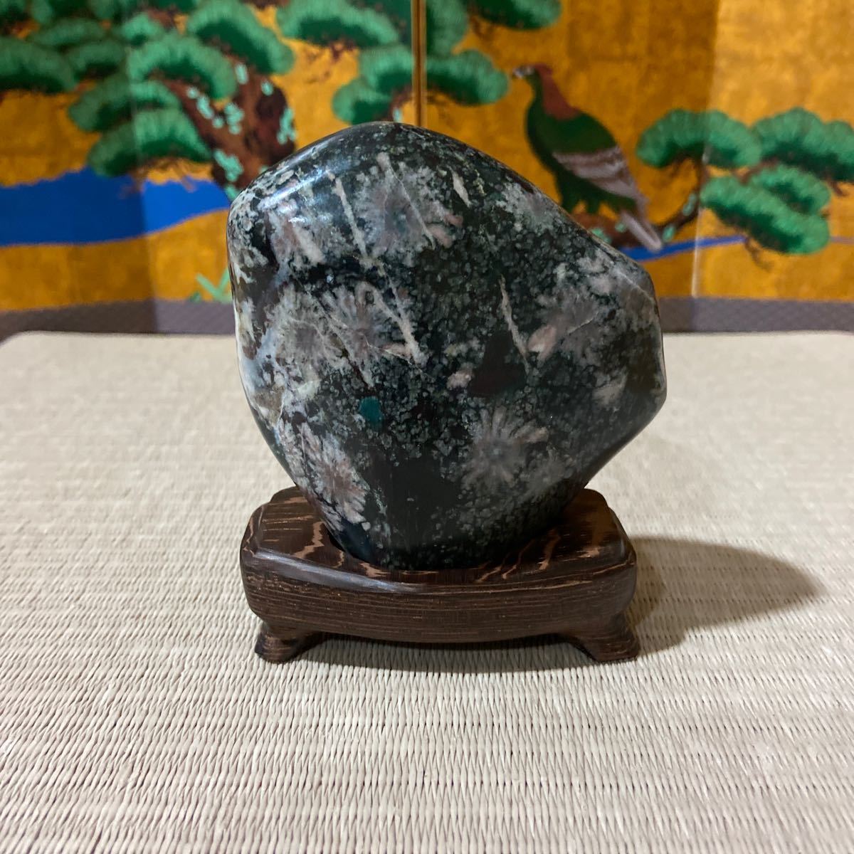 菊寿石 菊花石 黄金菊花石 金 色 鑑賞石 黒石 紋様石 水石 盆栽 盆石 置物 値段 販売 菊花石 共箱付 ☆ 鑑賞石 菊花石 盆栽