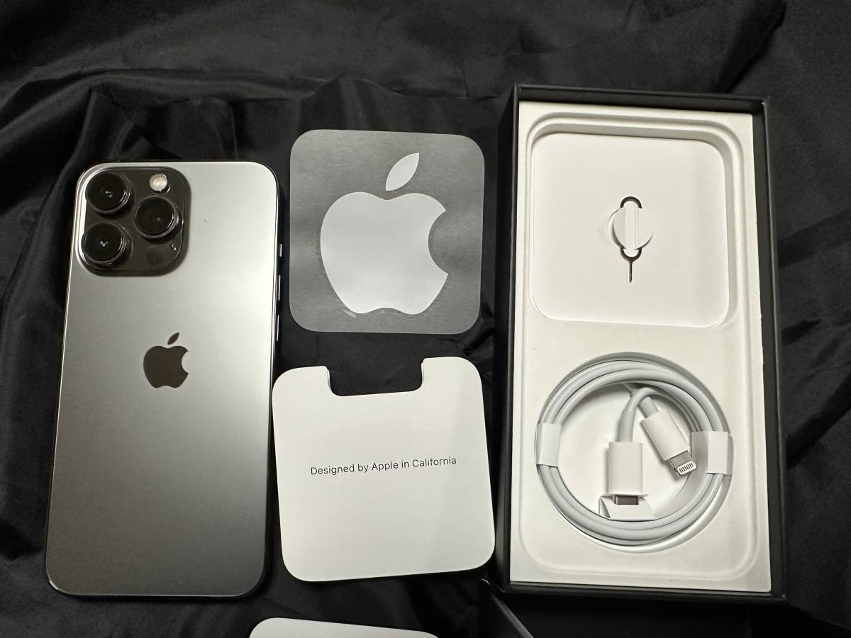 iPhone 0 Pro 256GB グラファイト SIMフリー Apple 公式通販 simフリー 