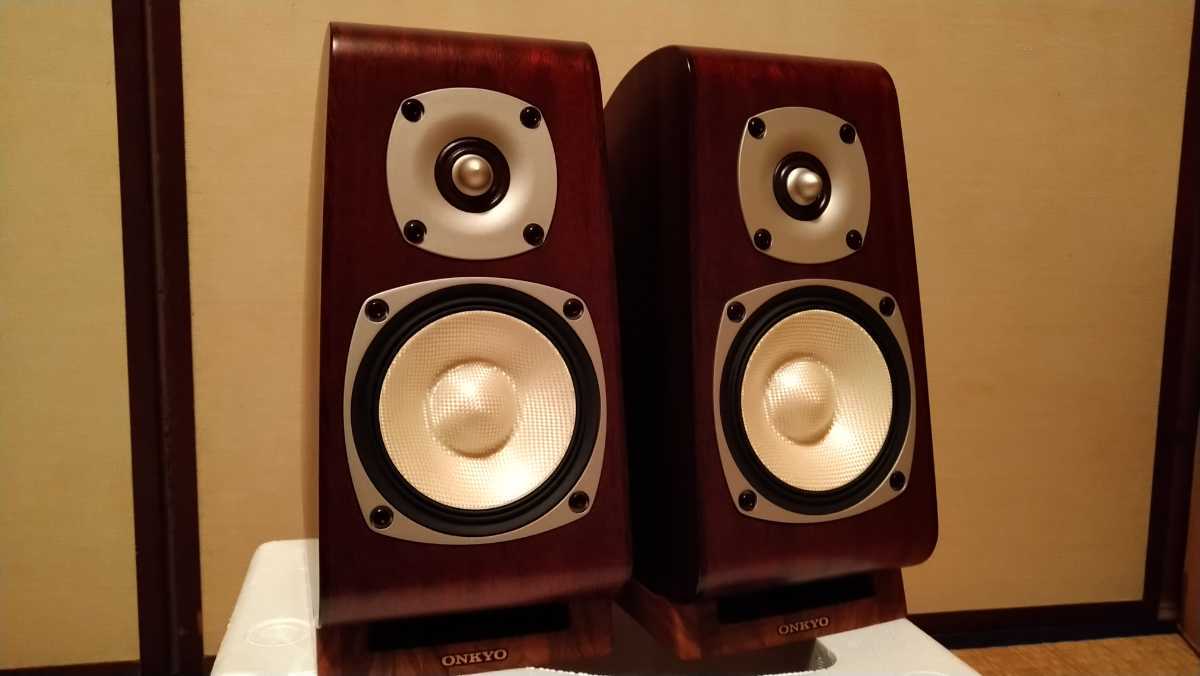 オンキョー ONKYO D-TK10【2台1組】ギターアコースティックスピーカー