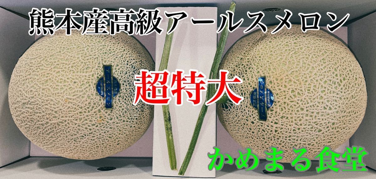 特大』1箱限定！熊本産アールスメロン【秀品6Lサイズ2玉 約5.2k