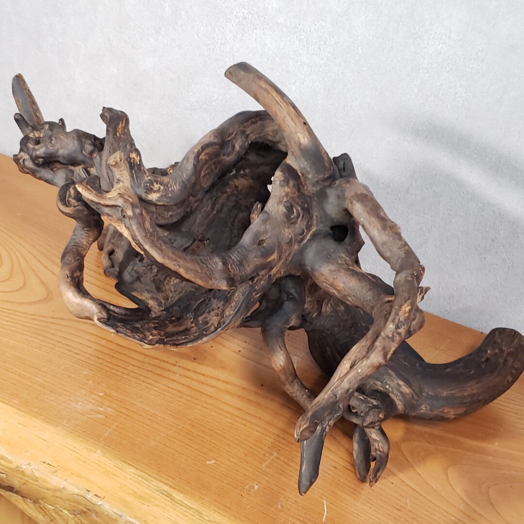木の根オブジェ 床の間飾り 花台 一点物 天然木 木の置物 根っこ