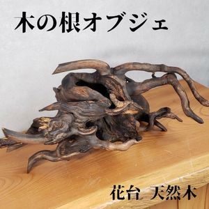 置物　衝立　オブジェ　天然木　木の根　 引き取り限定 木の根オブジェの値段と価格推移は？｜1件の売買データから木の根