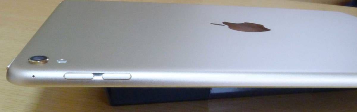 ジャンク iPad Pro 9.7 Wi-Fi 128GB ゴールド バッテリー劣化 保護