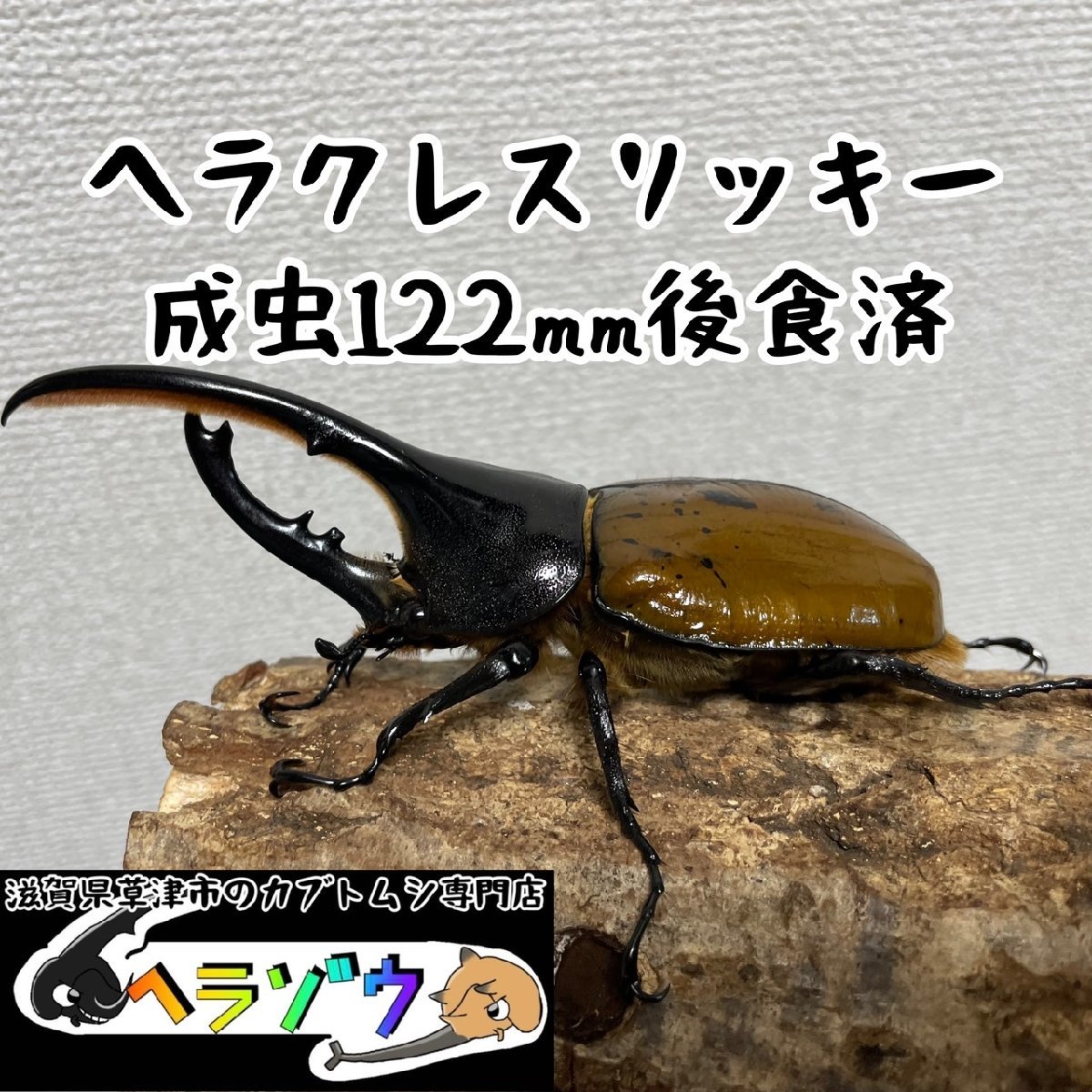 i-img1200x900-17789851502560m1lh8h372982