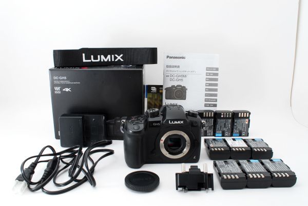 □美品□ PANASONIC ルミックス GH5 ボディ DC-GH5-K