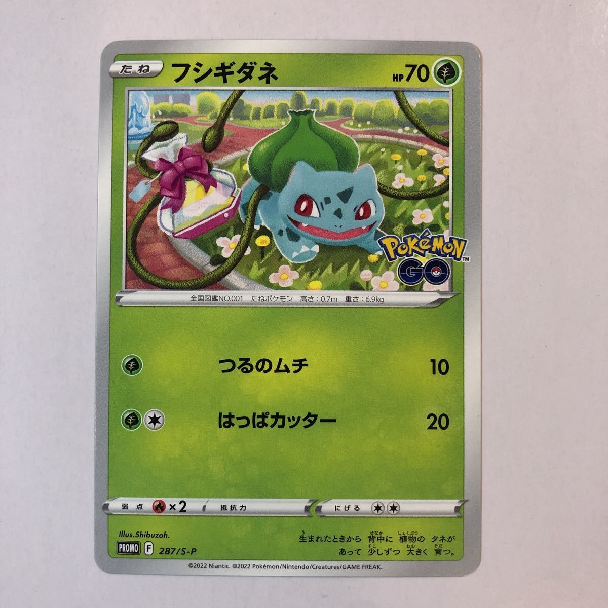 美品】在庫3 ポケモンカード フシギダネ ポケモンGO プロモカード 1枚