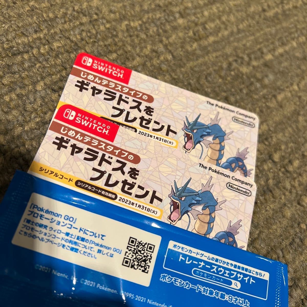 ギャラドス じめんテラスタイプ - 配布 ポケットモンスター ポケモン 
