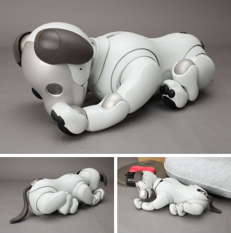 100円～ SONY aibo ソニー アイボ ERS-1000 エンタテイメントロボット 