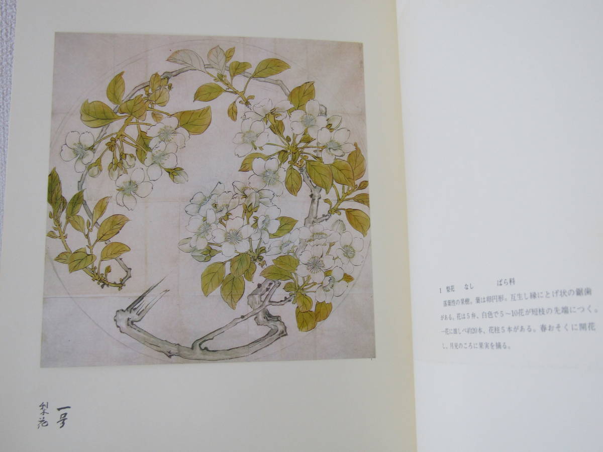 柴田是真花の丸集成 明治宮殿千種之間天井綴織下図 福田徳樹著 京都書院 昭和51 柴田是真花の丸集成 : 明治宮殿千種之間天井綴織下図(著者: 福田徳樹