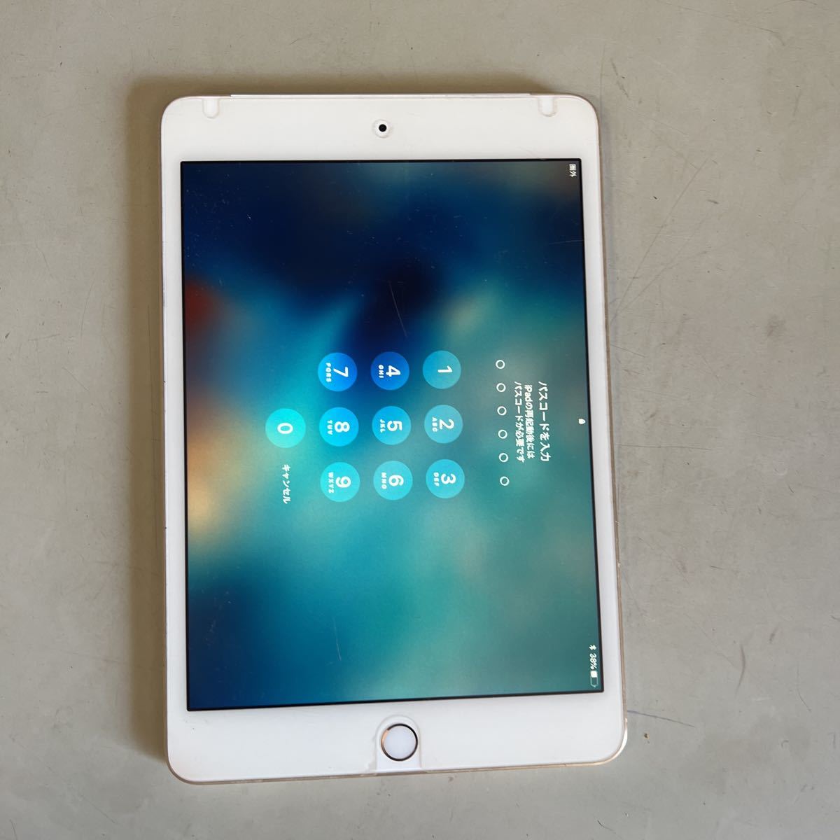 Apple iPad mini 4 A1550 ジャンク