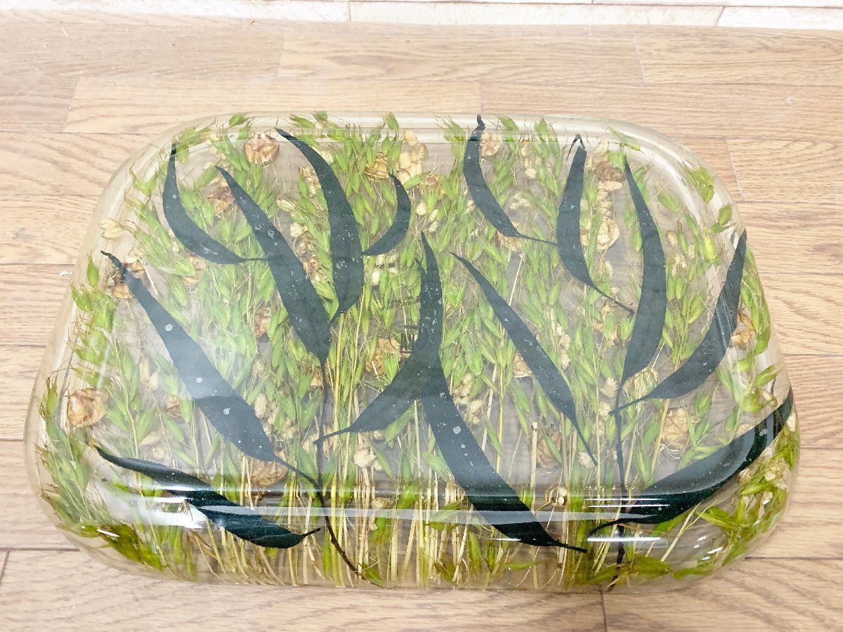 Riccardo Marzi カフェトレイ2枚 穂Blue&Gold希少 ⑤ Riccardo