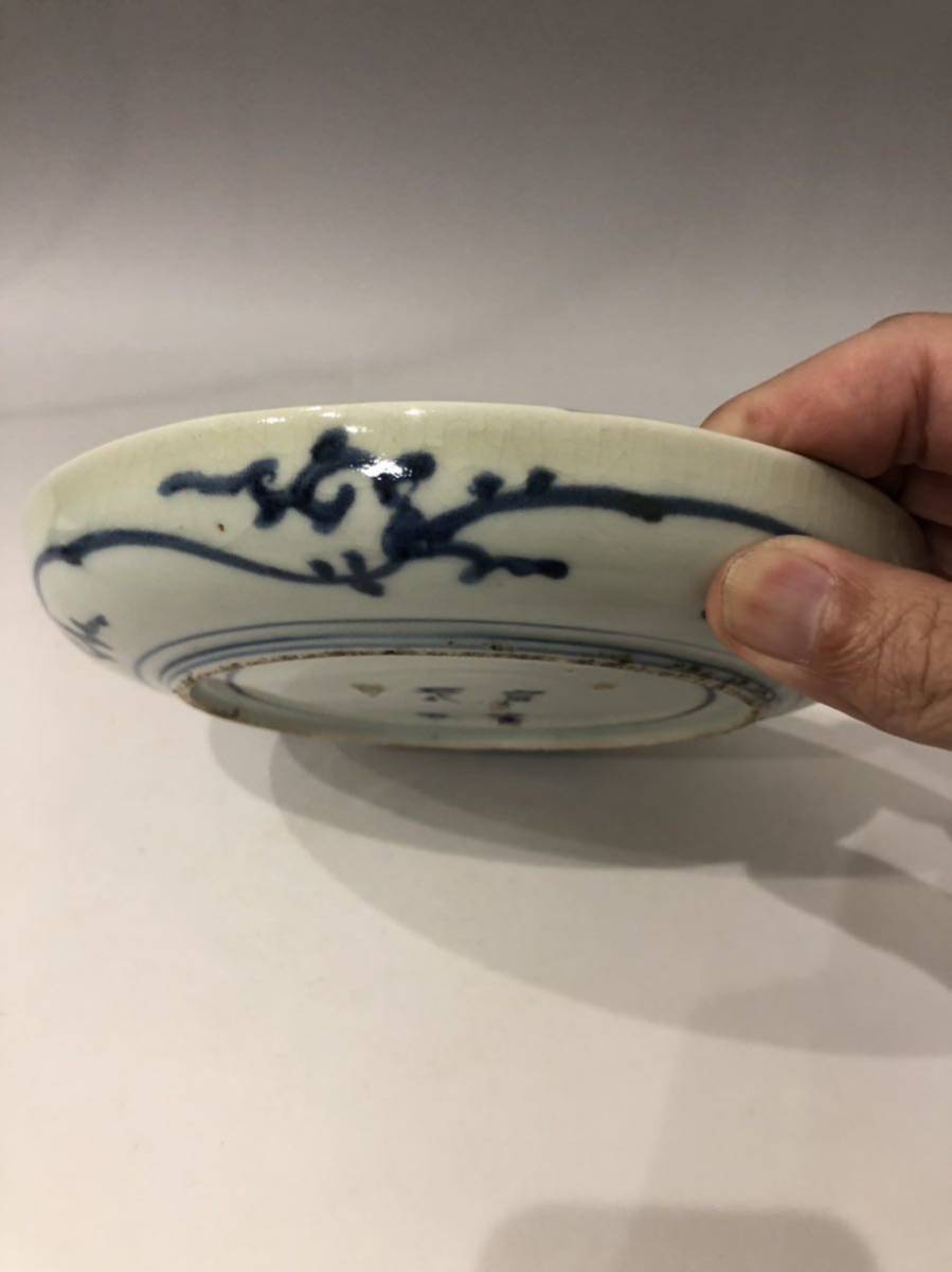 古伊万里 染付 | 古美術 希 のぞみ 蛸唐草 江戸後期 iichi 日々の