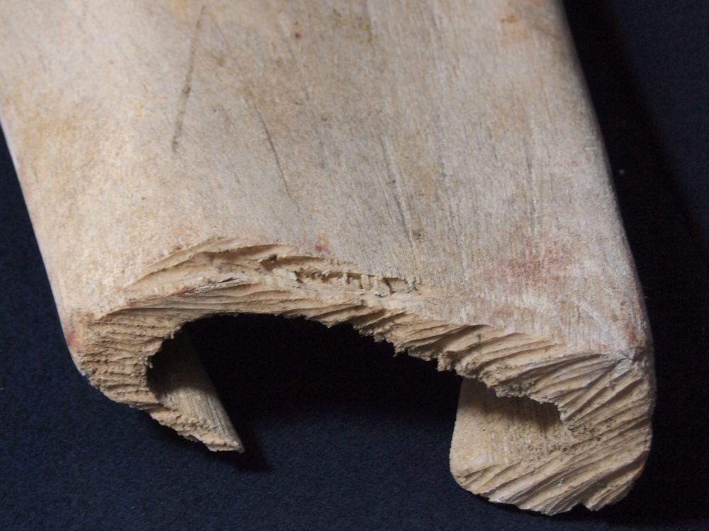 マッコウクジラ 鯨骨 抹香鯨 骨 重さ約10.2kg(検索 ボーンカービング アクセサリー 鯨歯 牙 海獣 彫刻 材料 根付 印材 フィッシュフック マッコウクジラ 鯨骨 大阪湾の\"迷いクジラ\" マッコウ &frasl; Free