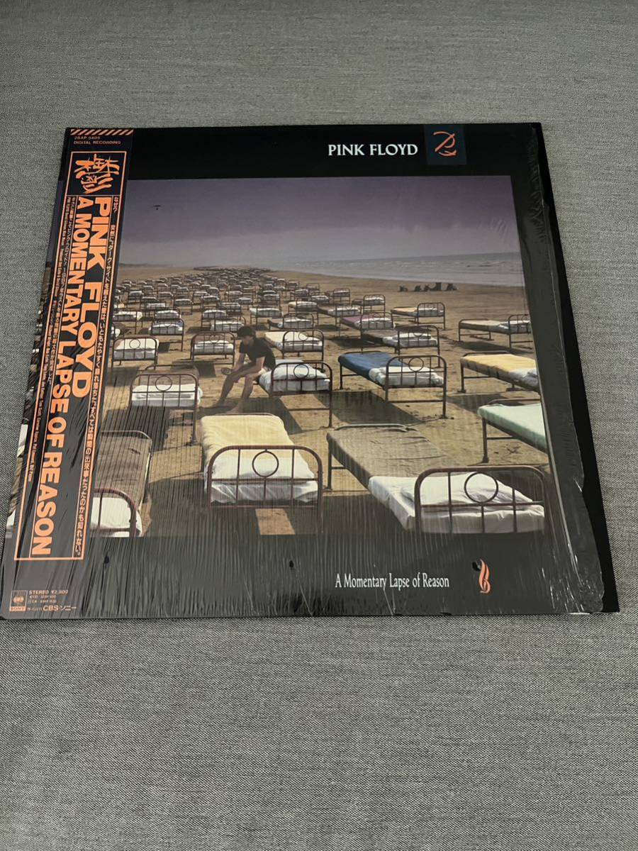 PINK FLOYD ピンク・フロイド 鬱 A Momentary Lapse of Reason