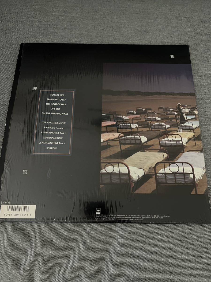 PINK FLOYD ピンク・フロイド 鬱 A Momentary Lapse of Reason
