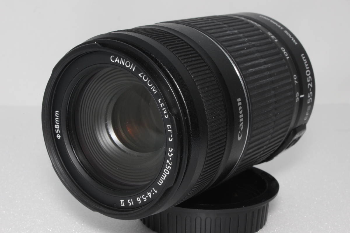 Canon ズームレンズ EF-S 55-250mm 1:4-5.6 IS Ⅱ
