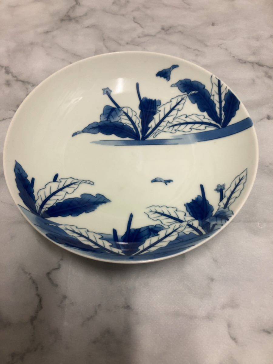 弥真登　古伊万里 染付 鍋島 藍 株　高座中皿　伊万里焼_1