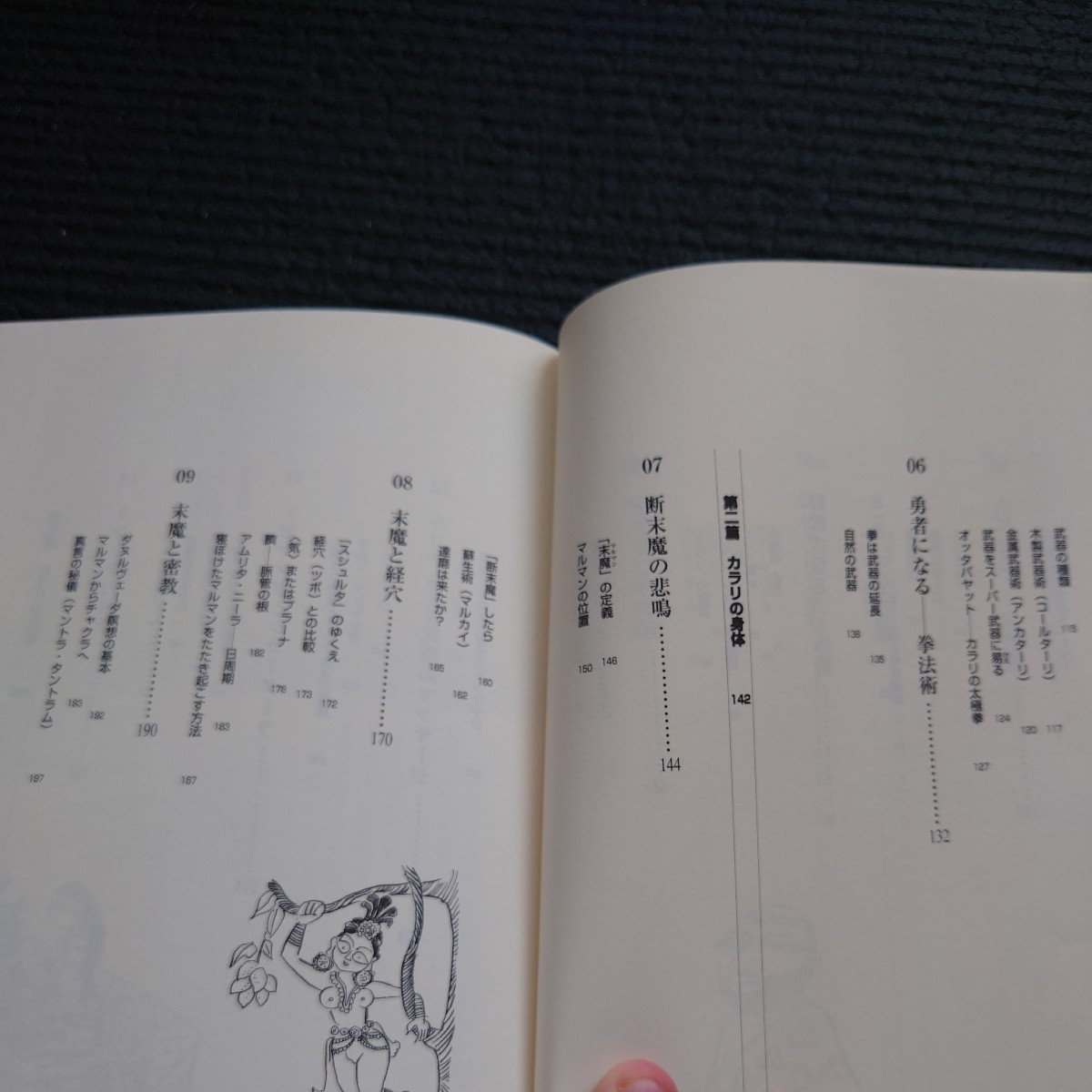 ヴェールを脱いだインド武術