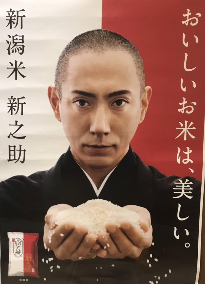 激安 ～超 美味ぃ～☆ 新潟産 新之助 20 kg 令和 4 年 ♪ 新之助