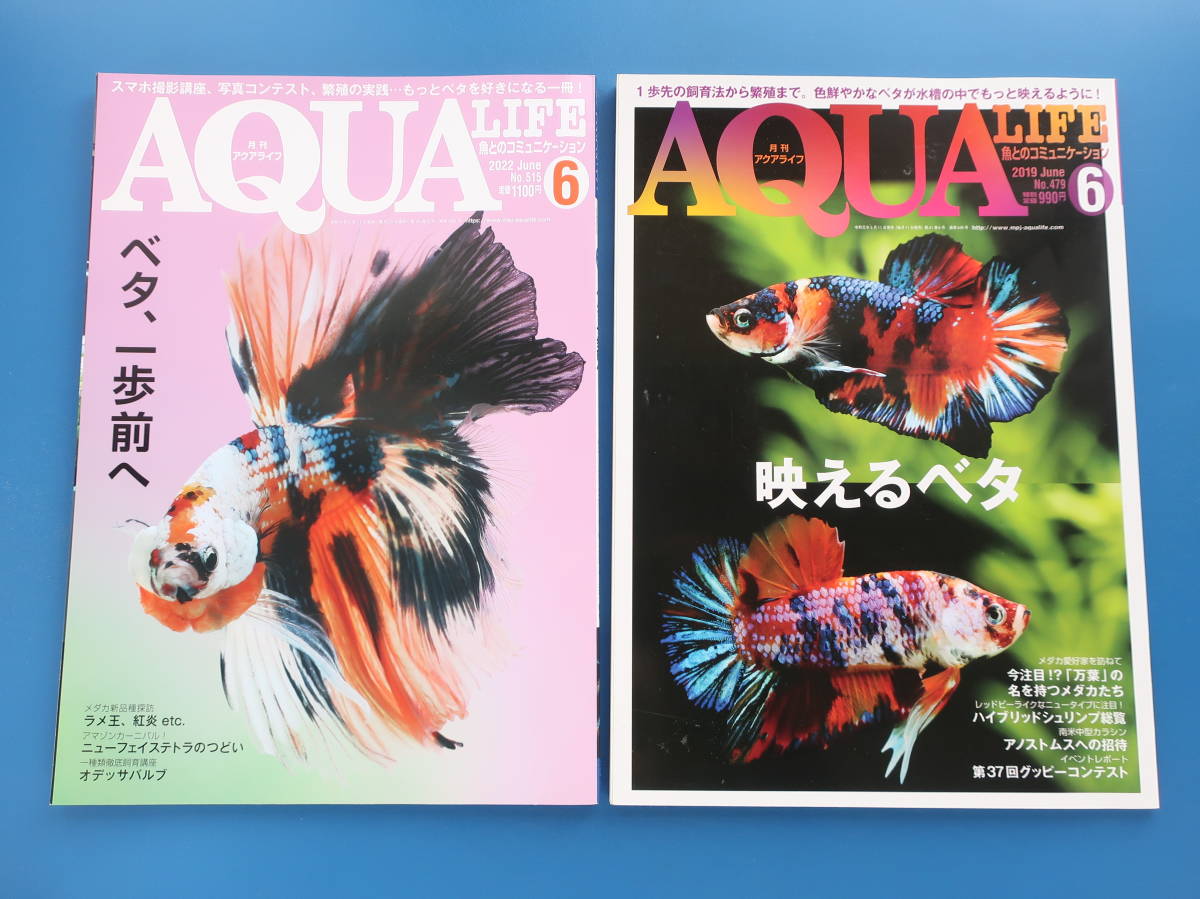 月刊アクアライフ ベタ特集 すばやい