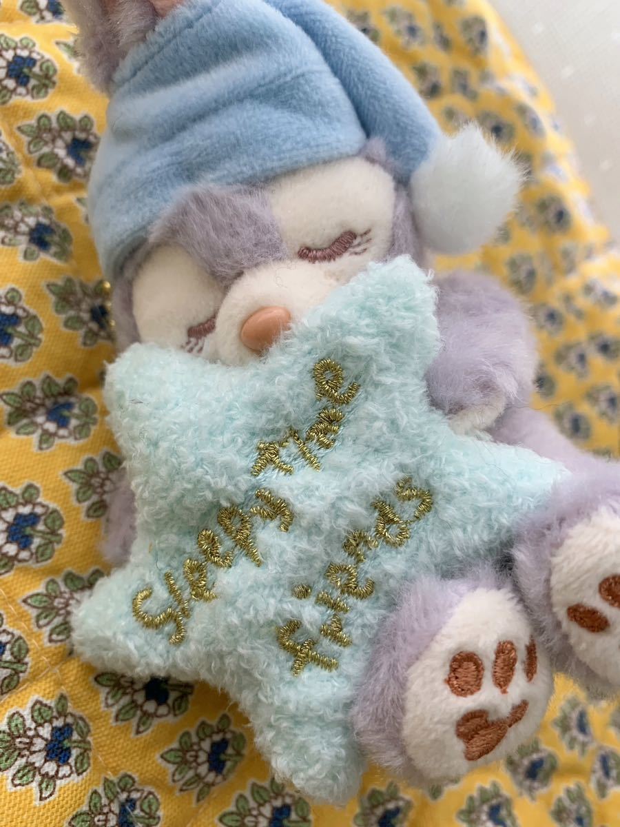 未使用【東京ディズニーシー限定 ウインターアイテム 2022】ステラルー