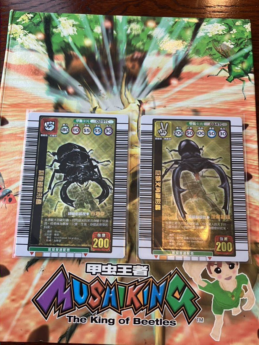 恐竜キング 台湾版 金 6枚 英語版 銀 6枚 計12枚 希少