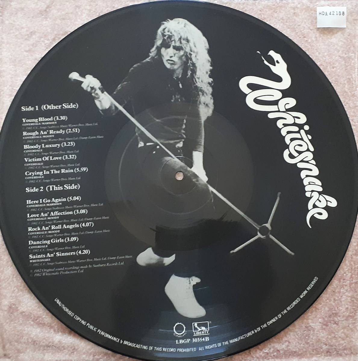 Whitesnake ホワイトスネイク Saints & Sinners UK盤 限定盤