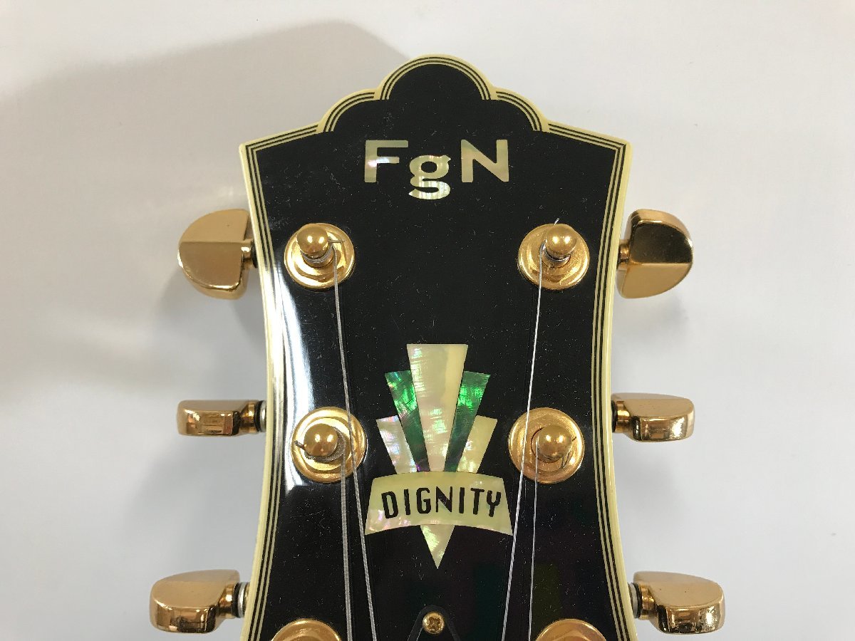 FgN DIGNITY フジゲン レスポールタイプ BATシリーズ Timeless Timber