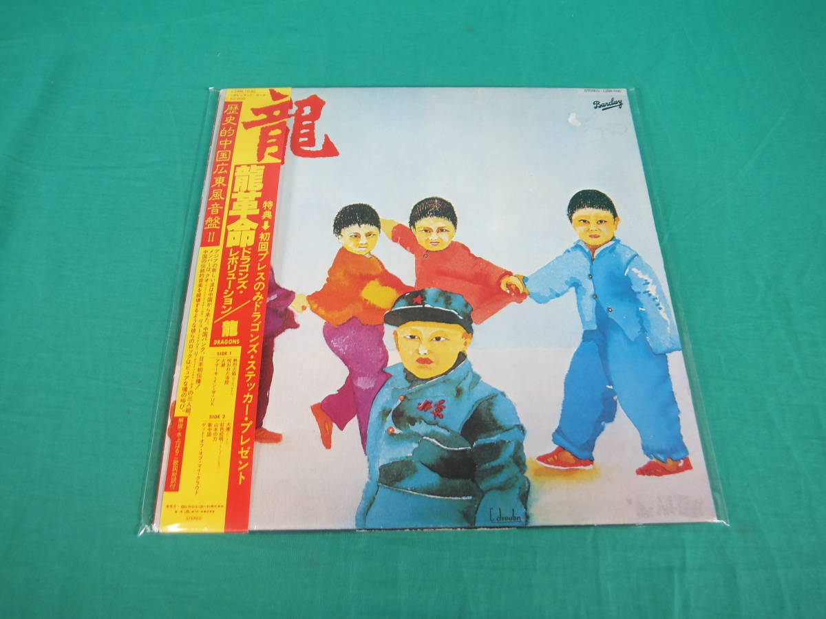 Dragon - Lang 山野草 蘭 寒蘭 中国蘭 Deluxe 蘭遊園 長生蘭 春蘭 富貴蘭『