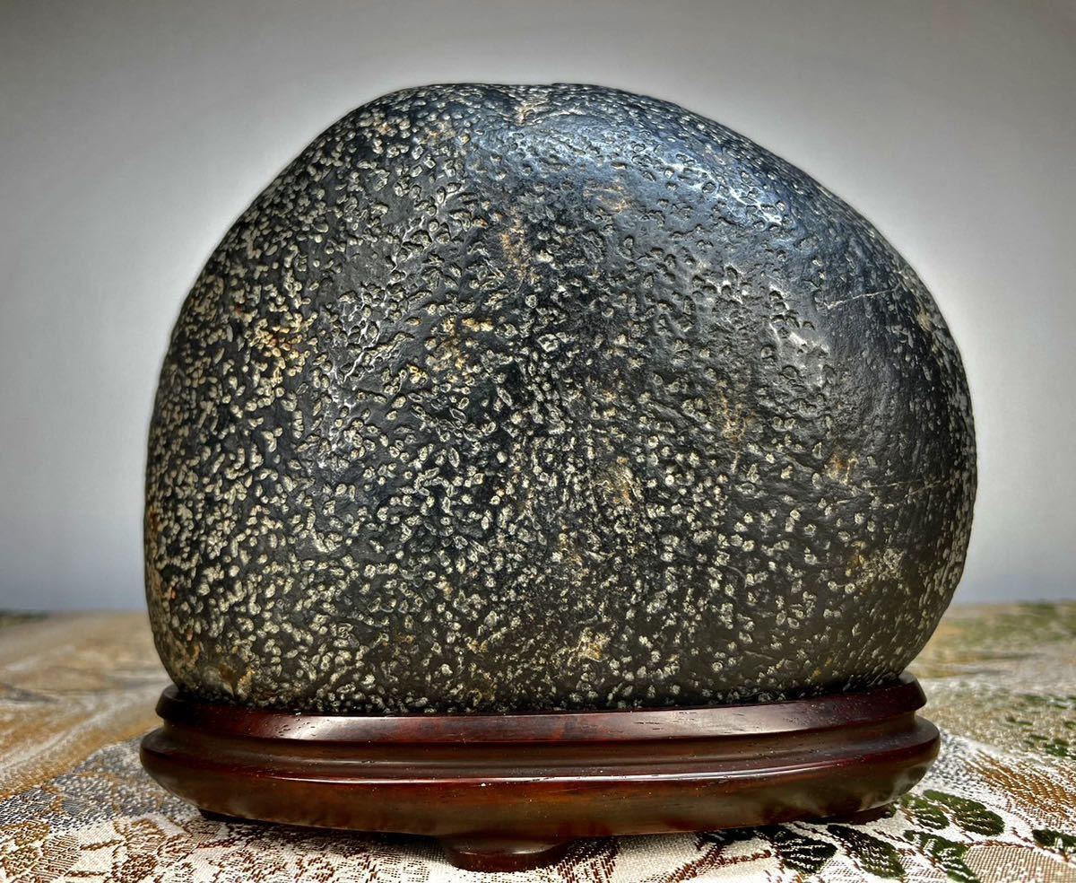 4258 瀬田川梨地石 ウブ 横36×高36(cm) 約25kg 4258 瀬田川梨地石 ウブ