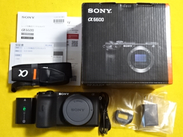 使用頻度少・送料無料】ソニー SONY ミラーレス一眼 α6600 ILCE-6600
