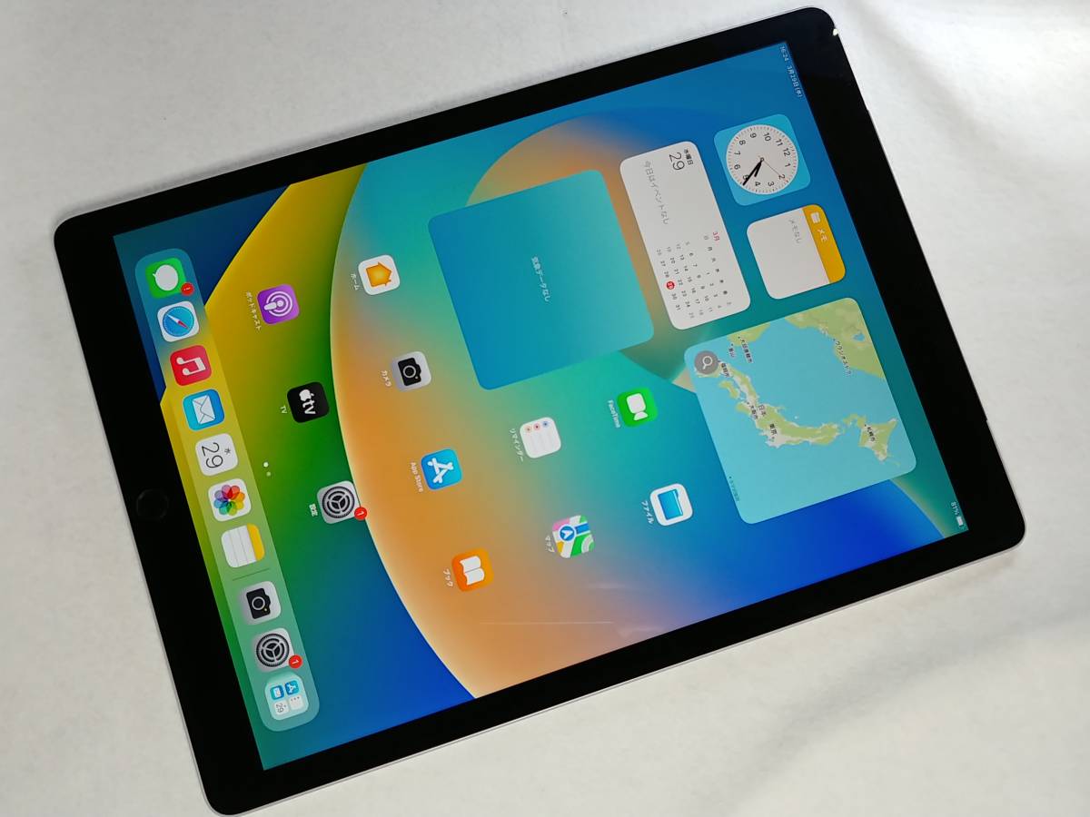 ジャンク品•初期化済iPad 第9世代256GB Wi-Fi+Cellular