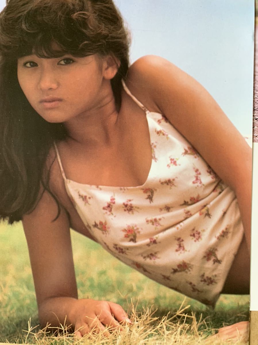 本田美奈子 切り抜き(タレント)｜売買されたオークション情報、Yahoo