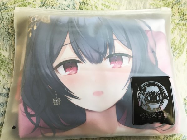 正規品 プラトンの基 Gの次元　アイドルマスター シャイニーカラーズ シャニマス 杜野凛世　抱き枕カバー　EX版 アイドルマスター 正規品 Gの次元 感電少女注意報 真冬 ■■■■画像となりますサークル直接購入した正規サイズは160cm×50㎝素材サークル製2wayトリコット素材になります