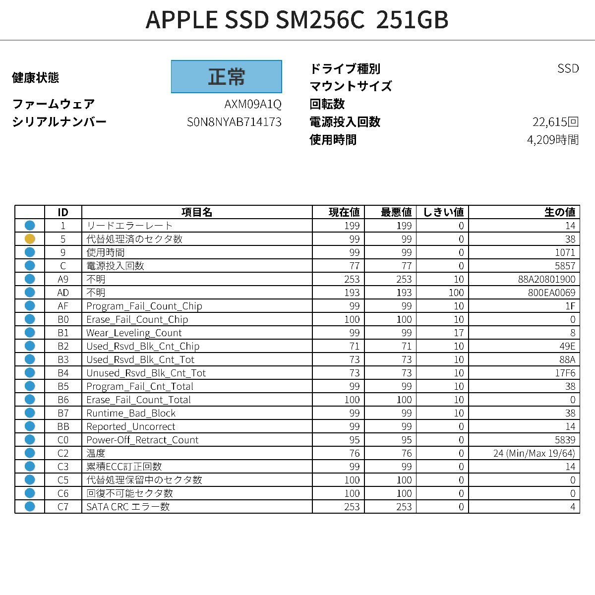 動作確認済み 4209時間 Apple純正 PCIe APPLE SSD SM256C 251GB 