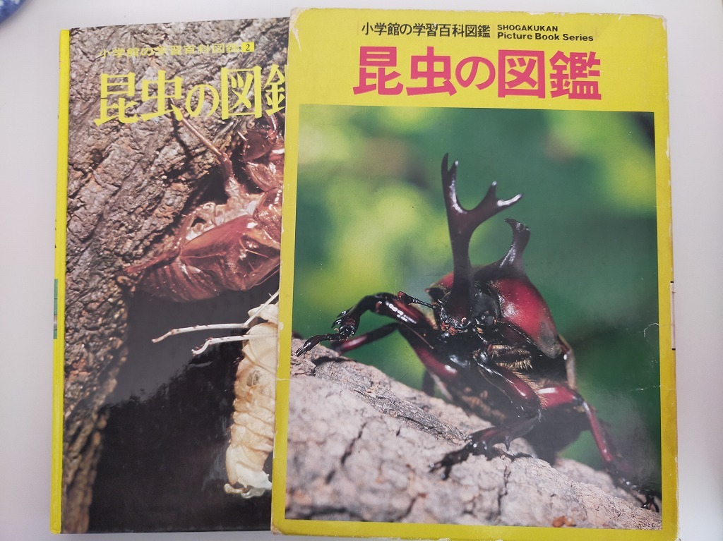 昆虫の図鑑 小学館の学習百科図鑑 1997年 古川春男 中山周平