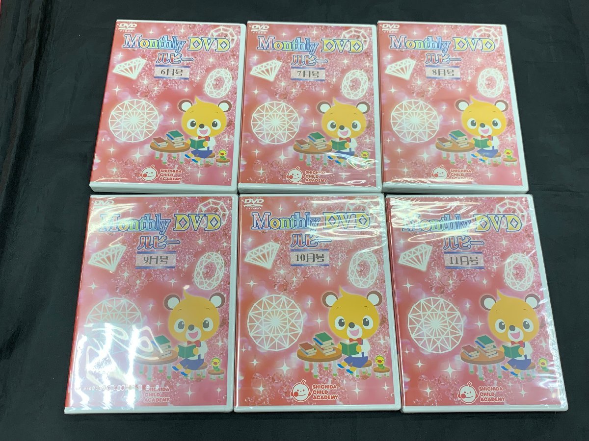 DVD 七田Monthly DVD マンスリーDVDルビー12ヶ月分