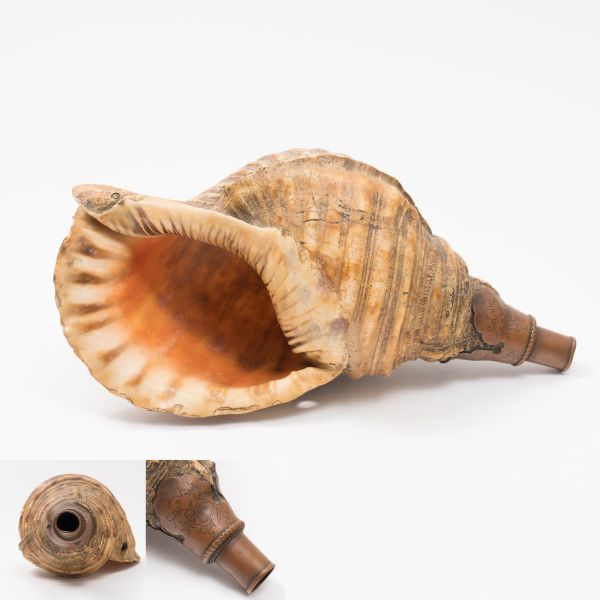 ホラ貝　法螺貝　34cm 1300g ホラ貝 法螺貝 34cm 1300g ホラ貝 法螺貝 34cm 1300g ほら貝・法螺貝