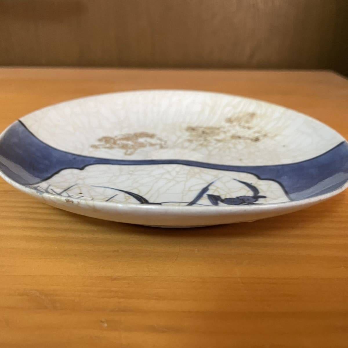 古伊万里 染付 松に山水の図 膾皿 5寸皿 C996AS-CVo