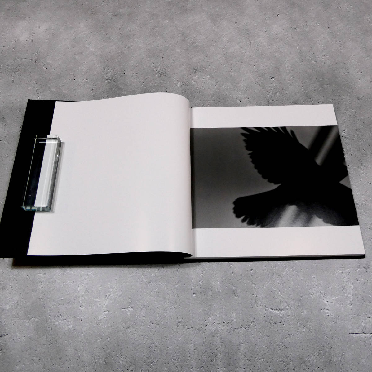 鴉 - | ⁄ 深瀬昌久 Masahisa 深瀬昌久写真集 . OIL Fukase 「鴉⁄RAVENS 