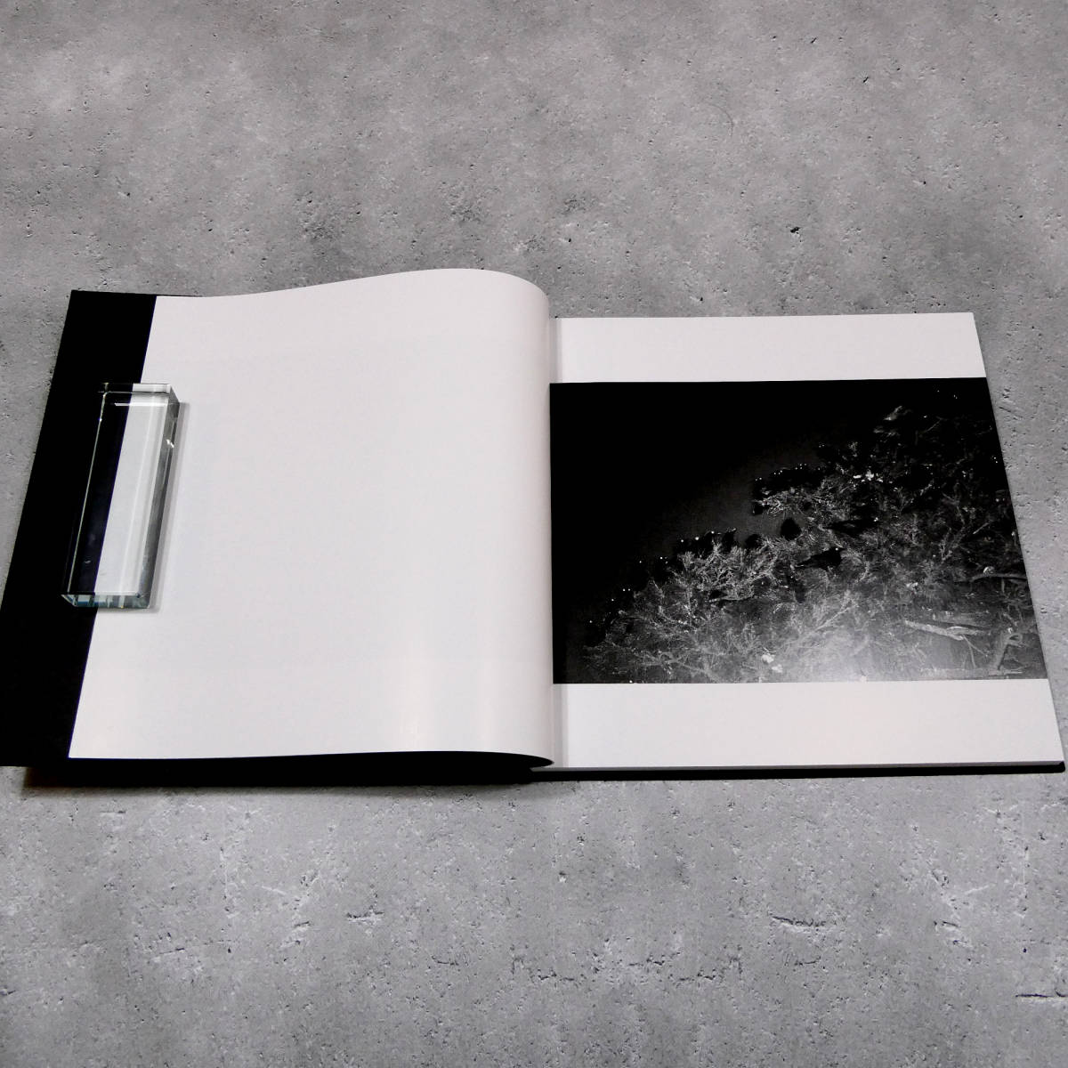 鴉 - | ⁄ 深瀬昌久 Masahisa 深瀬昌久写真集 . OIL Fukase 「鴉⁄RAVENS 