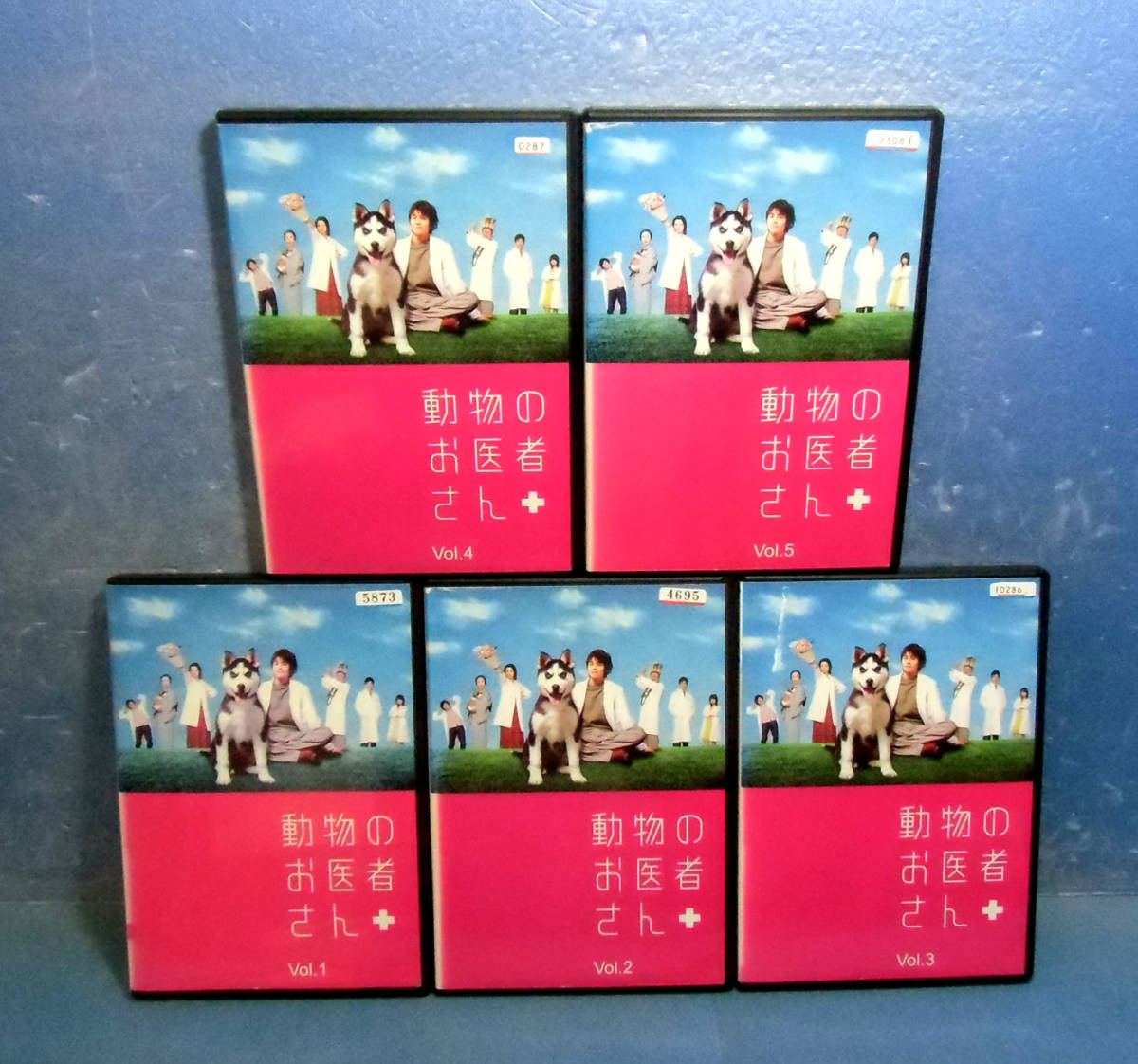 新品ケース DVD 動物のお医者さん 全5巻 吉沢悠 和久井映見 佐々木倫子 ◇動物のお医者さん全5巻（全11話）吉沢悠/和久井映見◇ケース無し送料