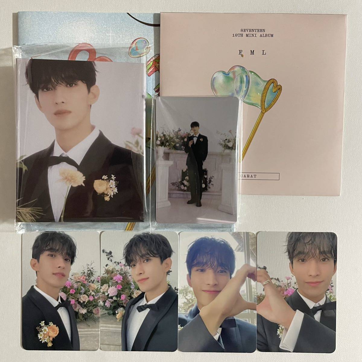 seventeen セブチ ドギョム サイン fml SEVENTEEN ドギョム FML carat ver. バインダー トレカ 28枚 コンプ 検