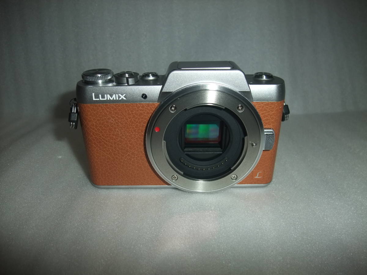 シャッタ回数2877 LUMIX DMC-GX7 レンズキットHFS014042 - メルカリ